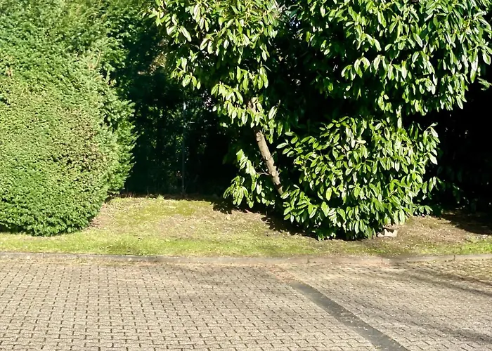 Appartement Suesses Am Klinikum In Solingen